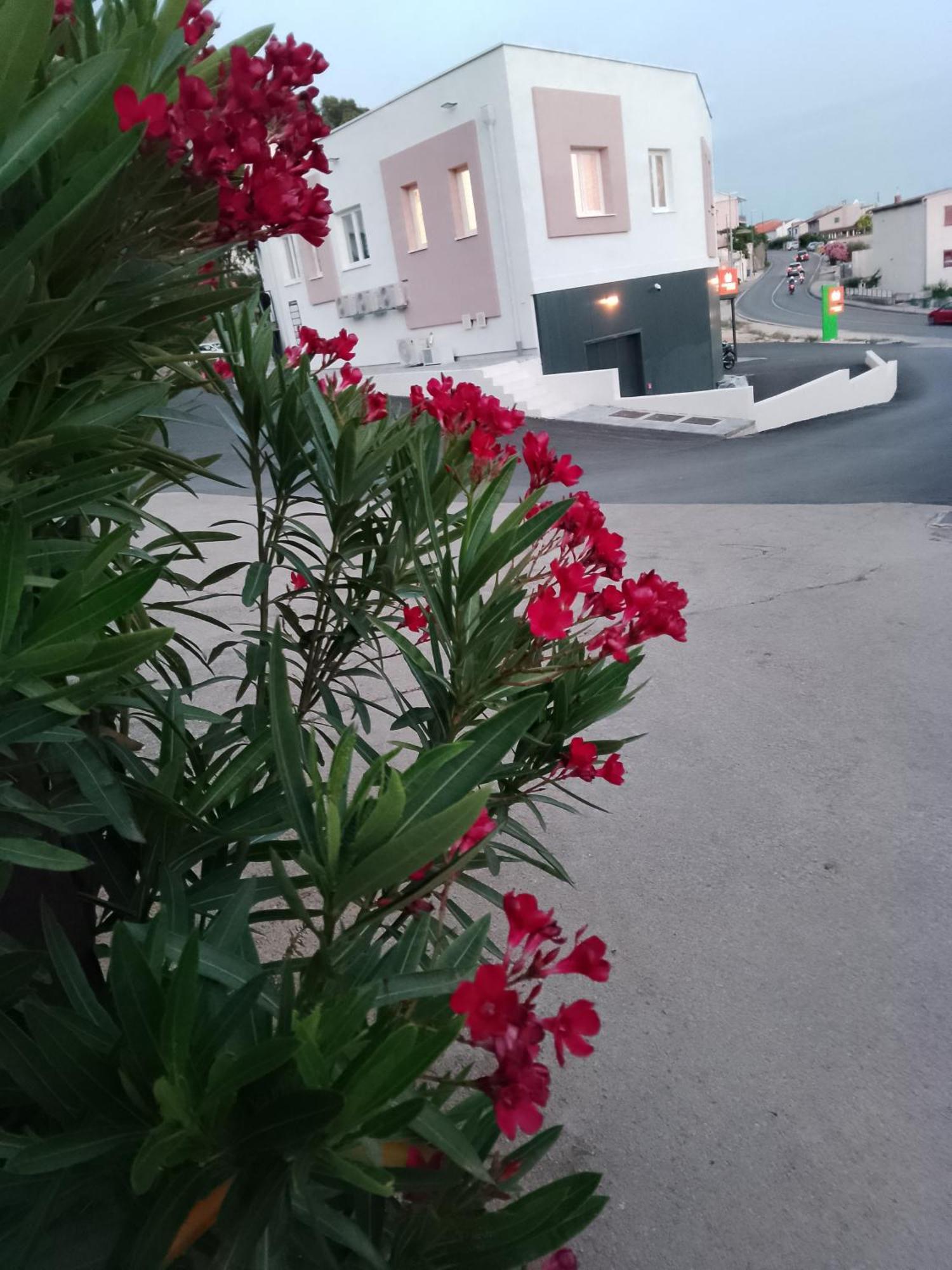Marin Apartment Šibenik Екстериор снимка